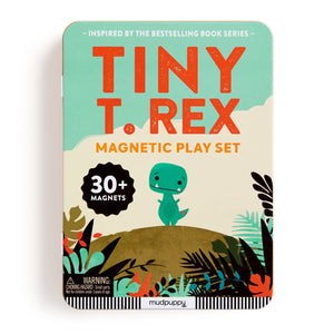 Tiny T. Rex Magnetic Play Set